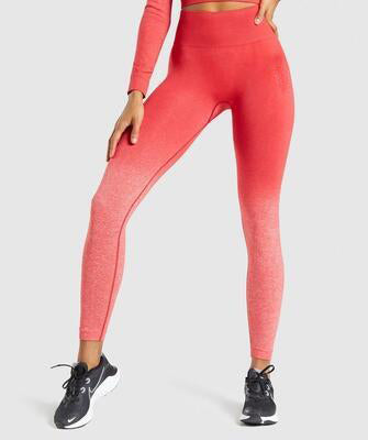 Women's High Waist Seamless Yoga Pants - Breathable Workout Leggings for Gym, Running & Pilates - Perfect for Fitness, Lounge & Everyday Wear
