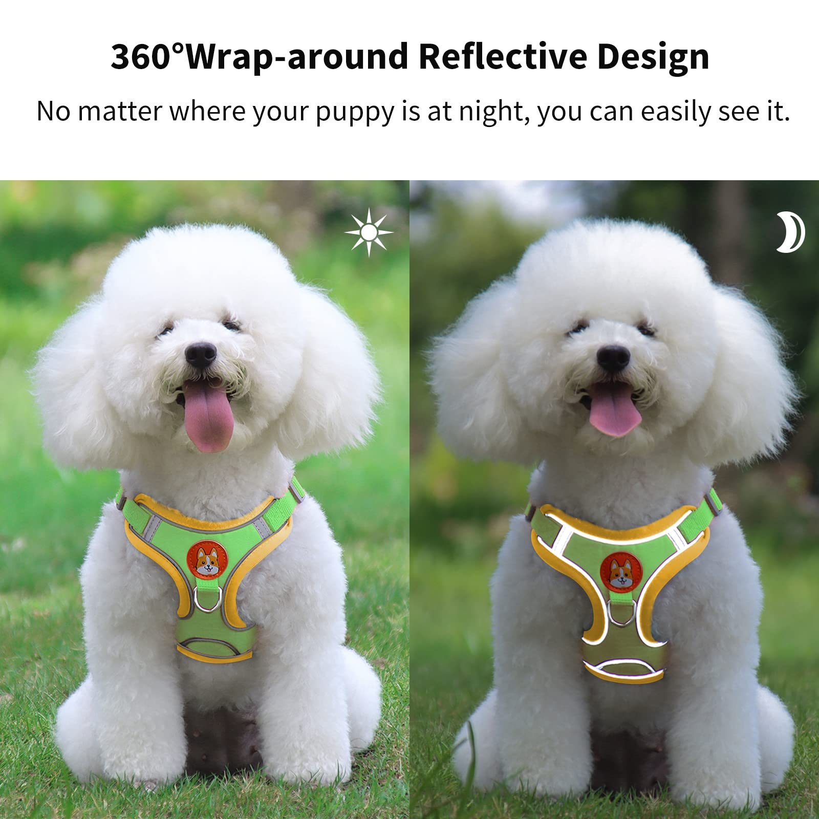 Adjustable No-Pull Dog Harness for Small & Medium Dogs - Reflective Comfort Vest with 2 Leash Clips & Matching Leash Set | Perfect for Walking, Training & Outdoor Adventures