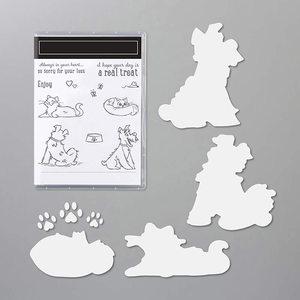 Lazy Cats & Happy Dogs Metal Cutting Dies and Clear Rubber Stamps Set - Card Making, Scrapbooking, Photo Album Decor - DIY Paper Crafting Stencil Dies for Friendship Cards & Memory Books
