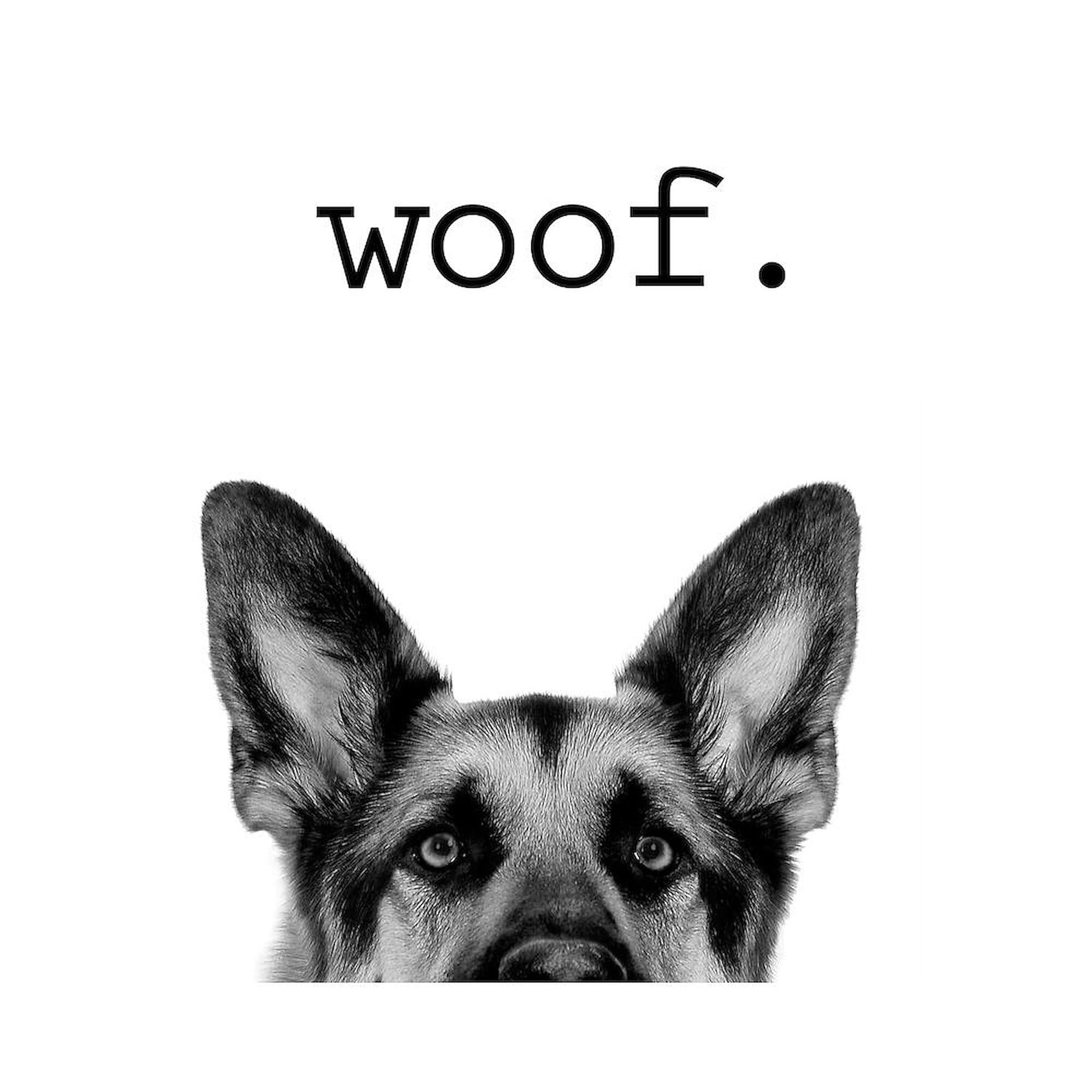 Woof Mug 11 oz (325 ml) Ceramic Coffee Cup - Funny Dog Lover's Gift for Home, Office & Pet Owners | Perfect for Morning Coffee, Tea or Hot Chocolate