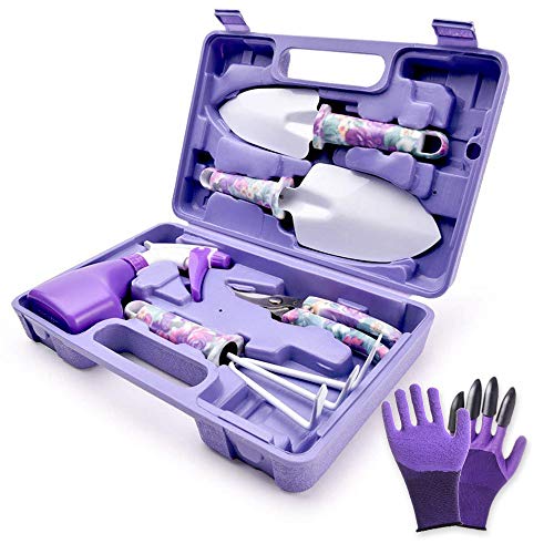 6 Pcs Set