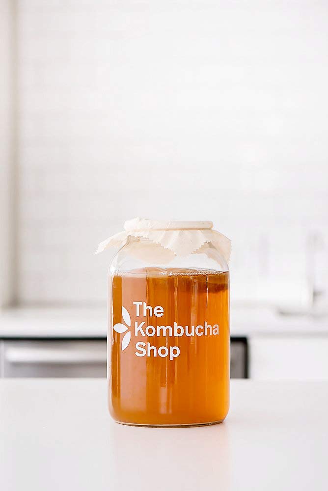 Premium Kombucha Brewing Kit with 10 Gallons of Tea, 6 Swing Top Bottles, Stainless Steel Funnel & Bottle Brush | Complete Home Brew Starter Set for Healthy Fermented Drinks | Perfect for Beginners & Kombucha Enthusiasts