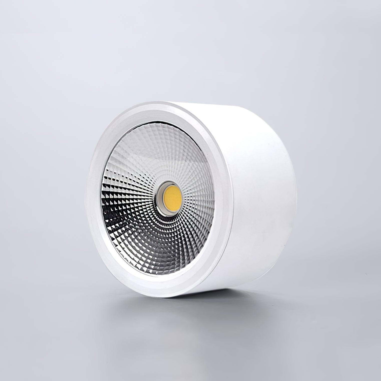 Anzo Spotlights - High-Quality LED Spotlights for Home & Outdoor Lighting | Perfect for Garden, Patio, and Landscape Decoration