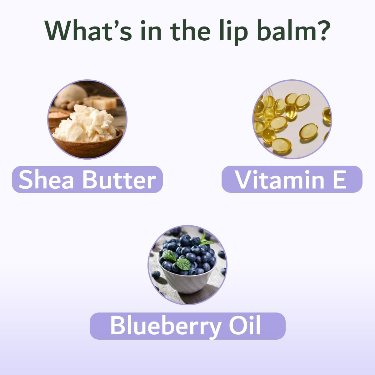 CRAFTS EMPIRE Blueberry Lip Balm - 10g Moisturizing & Nourishing Lip Care for Dry, Chapped Lips - Perfect for Winter, Outdoor Activities & Daily Use