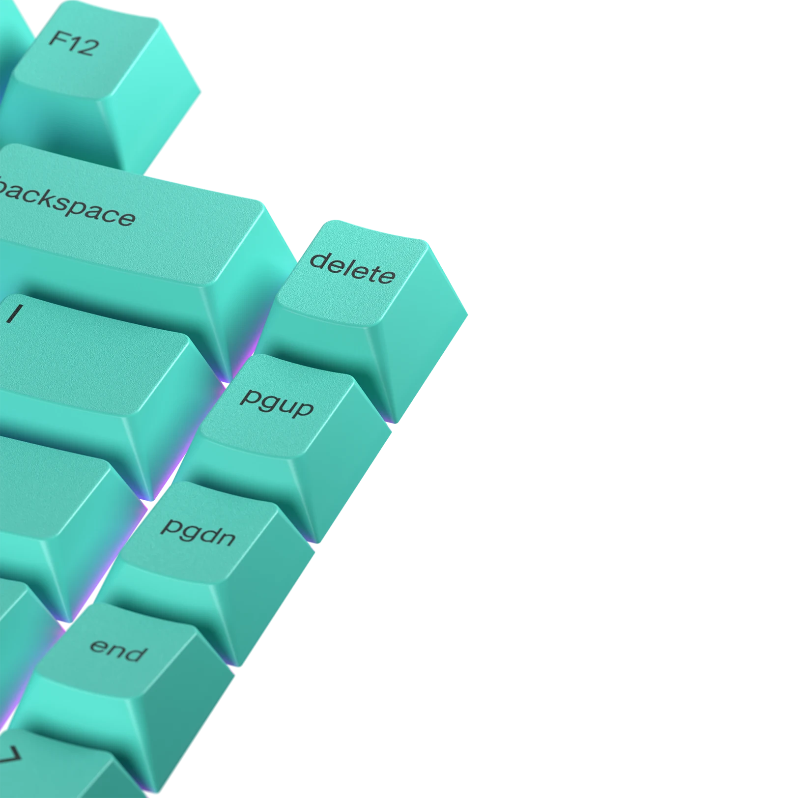 Rainforest Themed Keycaps for Mechanical Keyboards - Customizable, Durable & Aesthetic - Perfect for Gaming, Typing & Office Use