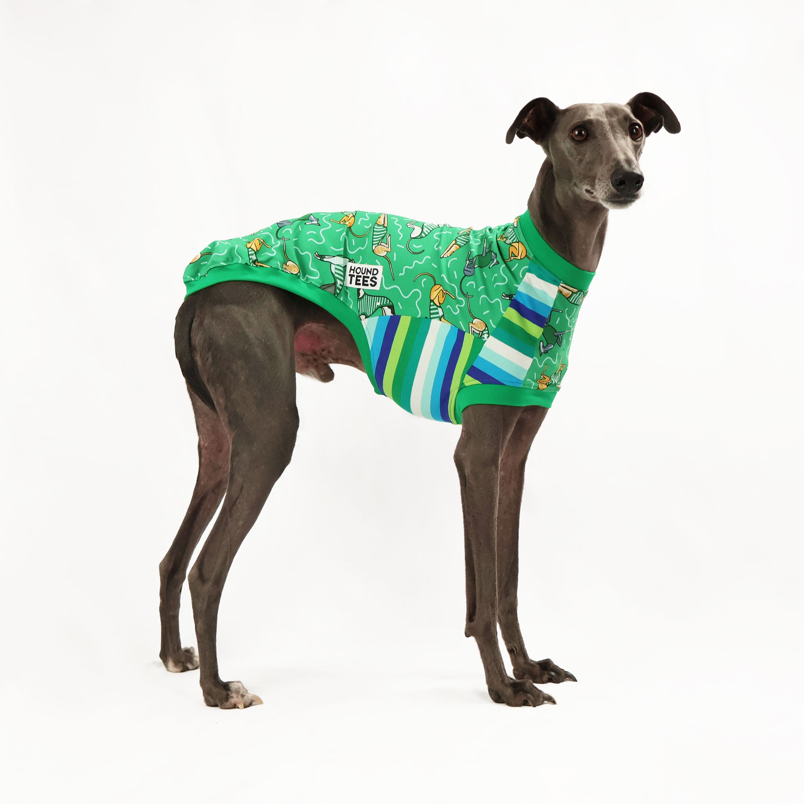 Whippet Sleeveless Dog T-Shirt for Hound Lovers - Comfortable Pet Apparel for Running, Walking & Outdoor Adventures