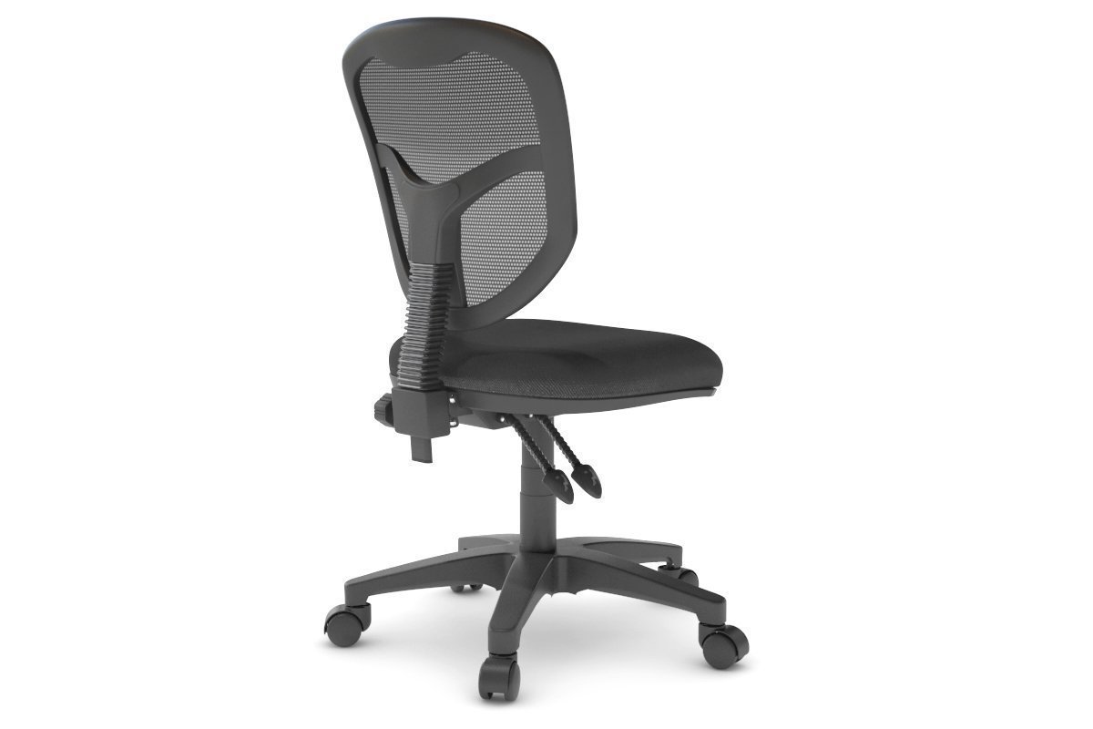 Plover Ergonomic Office Chair with Breathable Mesh Back - Adjustable Lumbar Support & Tilt Function for Home & Office Workspaces