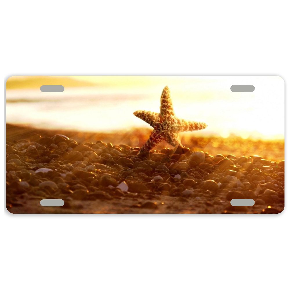 Artsbaba Starfish Metal Car License Plate Cover - 12x6 Inches with 4 Holes, Durable Beach-Themed Auto Tag for Cars, Trucks & SUVs - Perfect for Coastal Decor and Summer Road Trips
