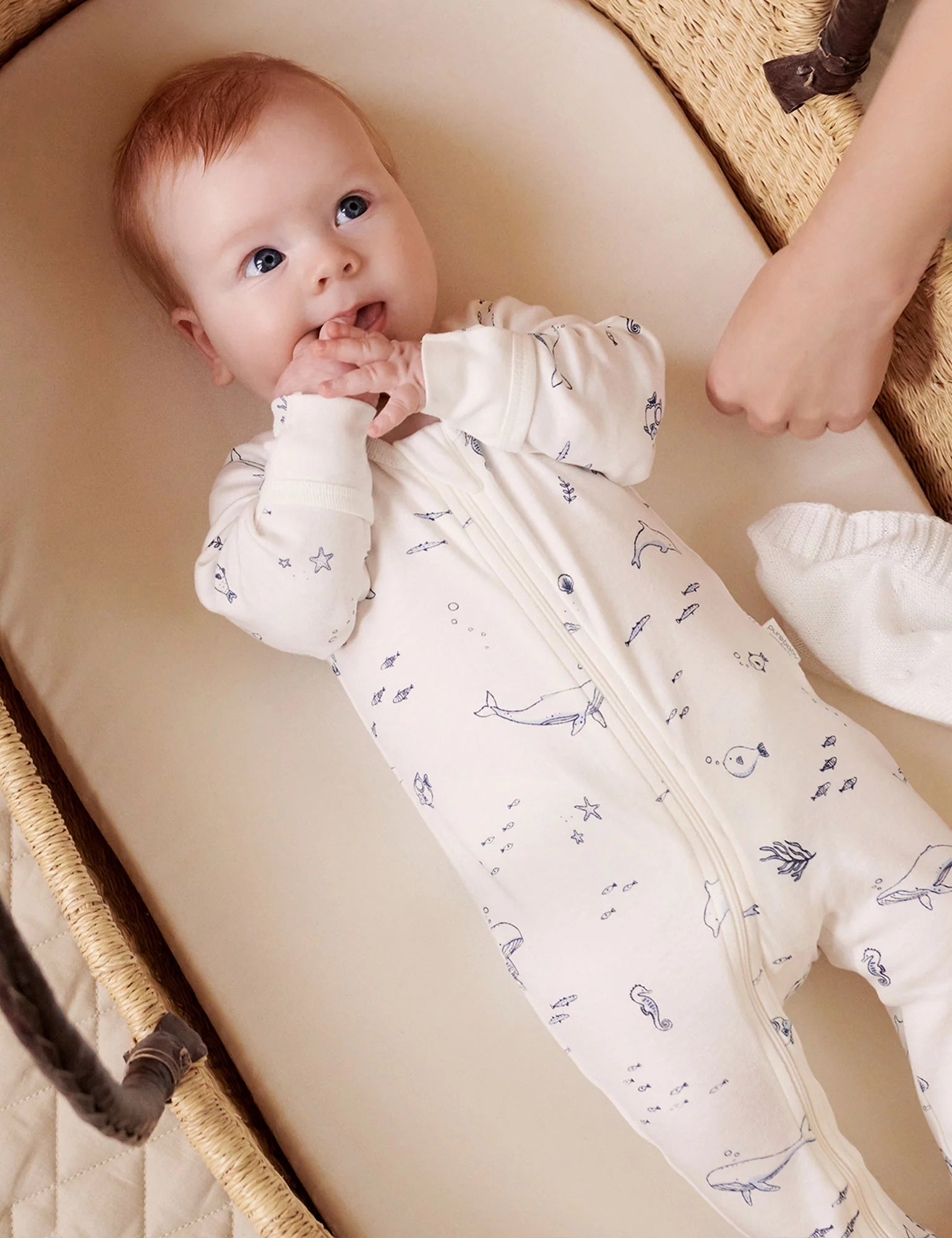Purebaby Organic Zip Growsuit 4 Pack - Vanilla Nautical Print Baby Romper for Newborns & Infants | Soft Cotton Onesies for Daycare, Playtime & Sleepwear
