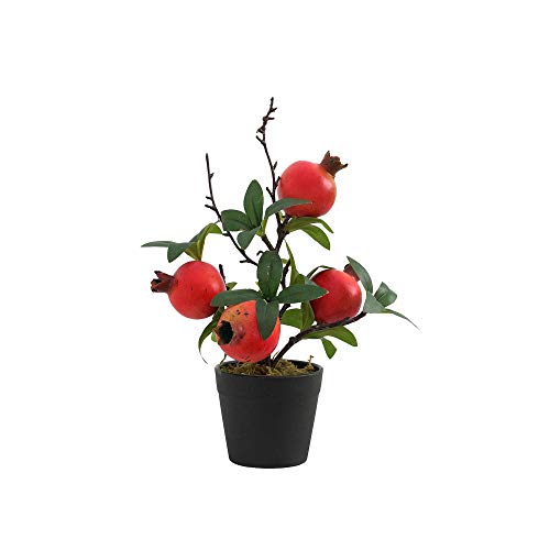 Pomegranate-small