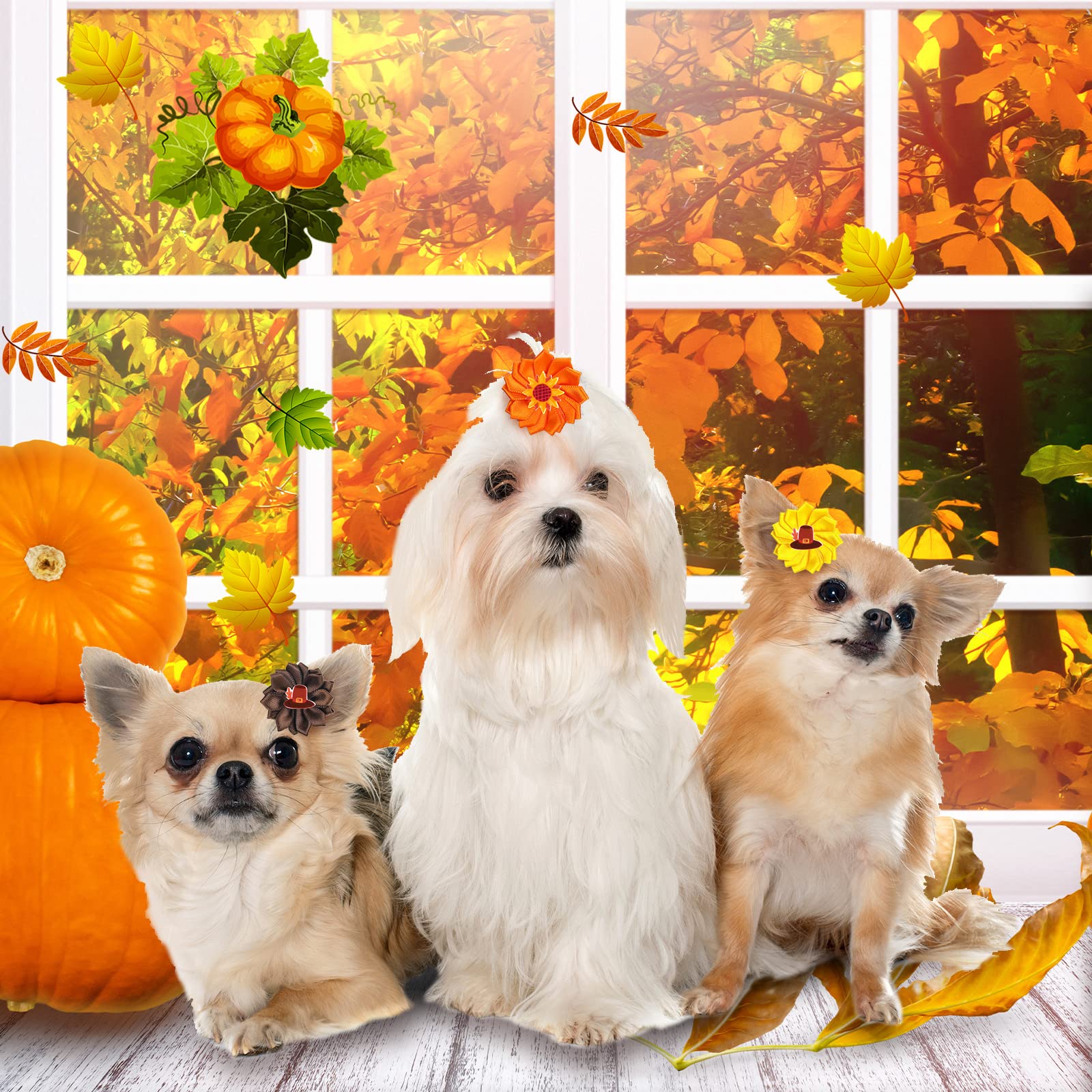 60 Pack Fall Dog Hair Bows with Rubber Bands - Thanksgiving Flower Bows for Small to Large Dogs & Cats - Pet Grooming Accessories for Puppies & Pets - Perfect for Autumn Photos & Holiday Celebrations