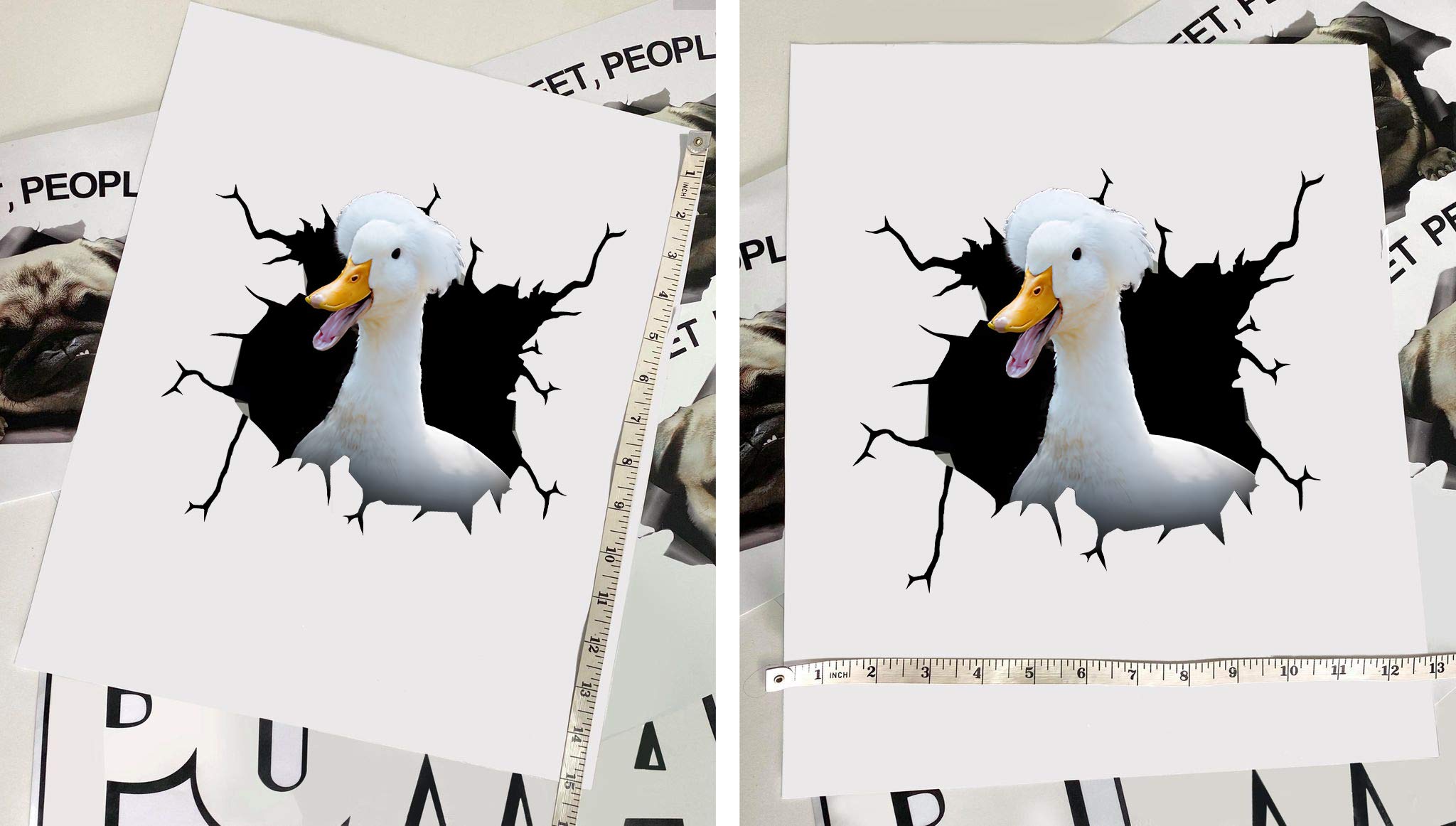 Realistic Duck Car Decals & Wall Stickers Pack of 2 - 10