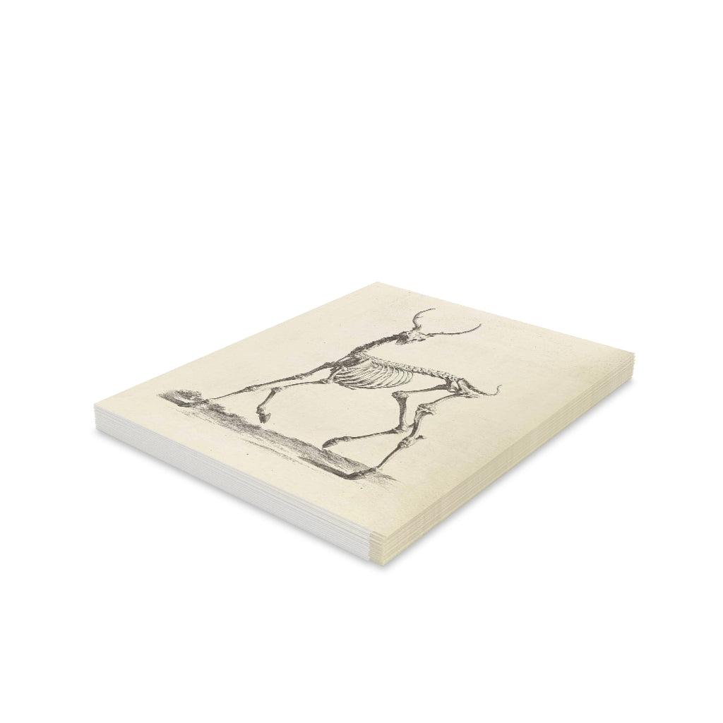 Deer Skeleton Greeting Cards - 10 Pack Halloween Themed Blank Note Cards with Envelopes - Perfect for Spooky Party Invitations, Halloween Decorations, and Gothic Gift Giving