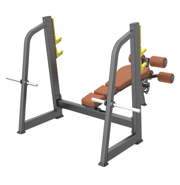 DHZ E1041B Adjustable Decline Bench for Home Gym - Strength Training & Ab Workouts - Perfect for Weight Loss, Core Exercises & Full-Body Workouts
