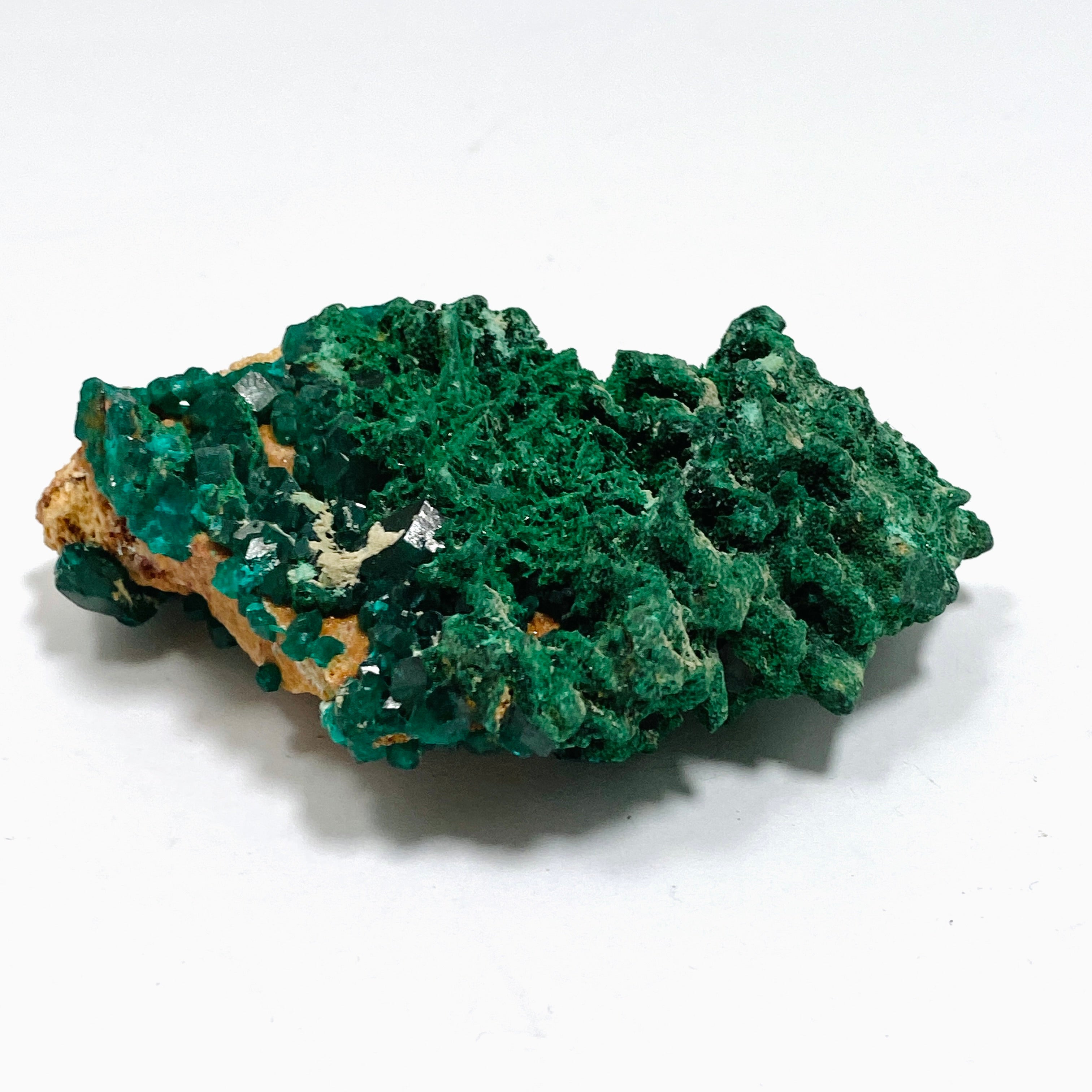 Natural Dioptase and Malachite Crystal Specimen from Congo - CR3745 | Mineral Collection, Healing Crystals, Geology Display, Home Decor