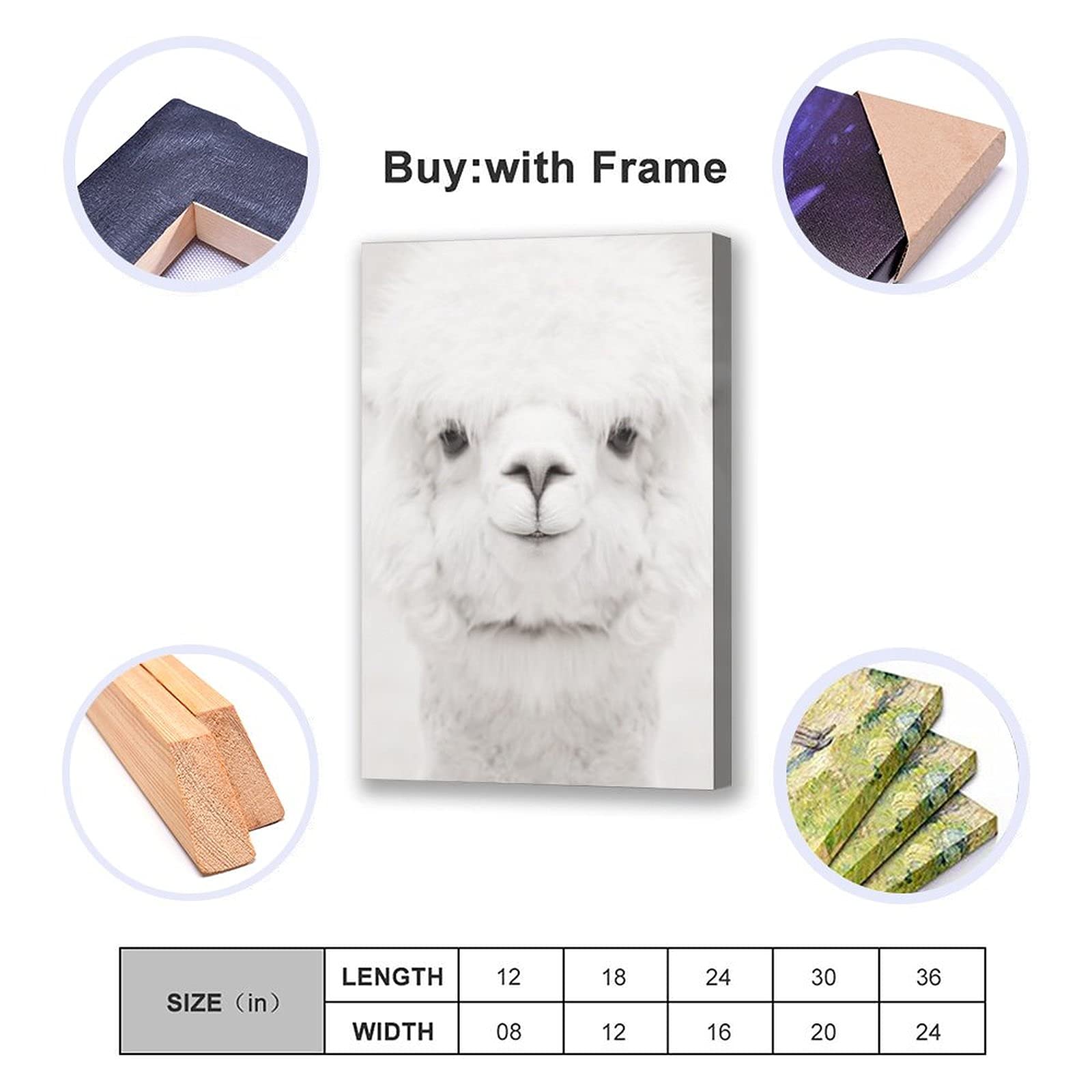 Smiling Alpaca Canvas Wall Art - 12x18 Inches (30x45cm) - Cute Animal Poster for Bedroom, Office, Nursery & Living Room Decor - Perfect Gift for Animal Lovers & Home Decoration