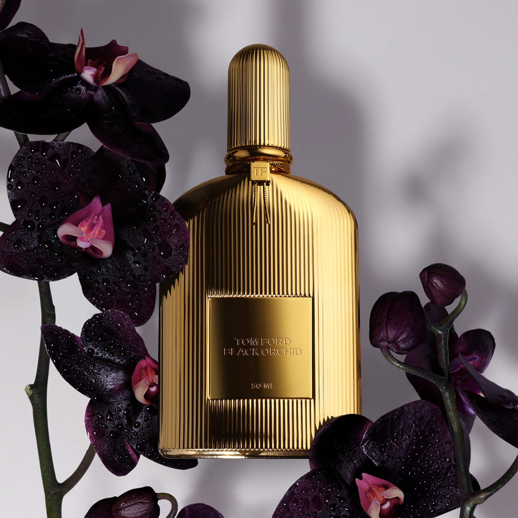 Black Orchid Perfume for Women - Luxury Floral Fragrance with Vanilla & Spice Notes - Perfect for Evening Events, Date Nights & Special Occasions