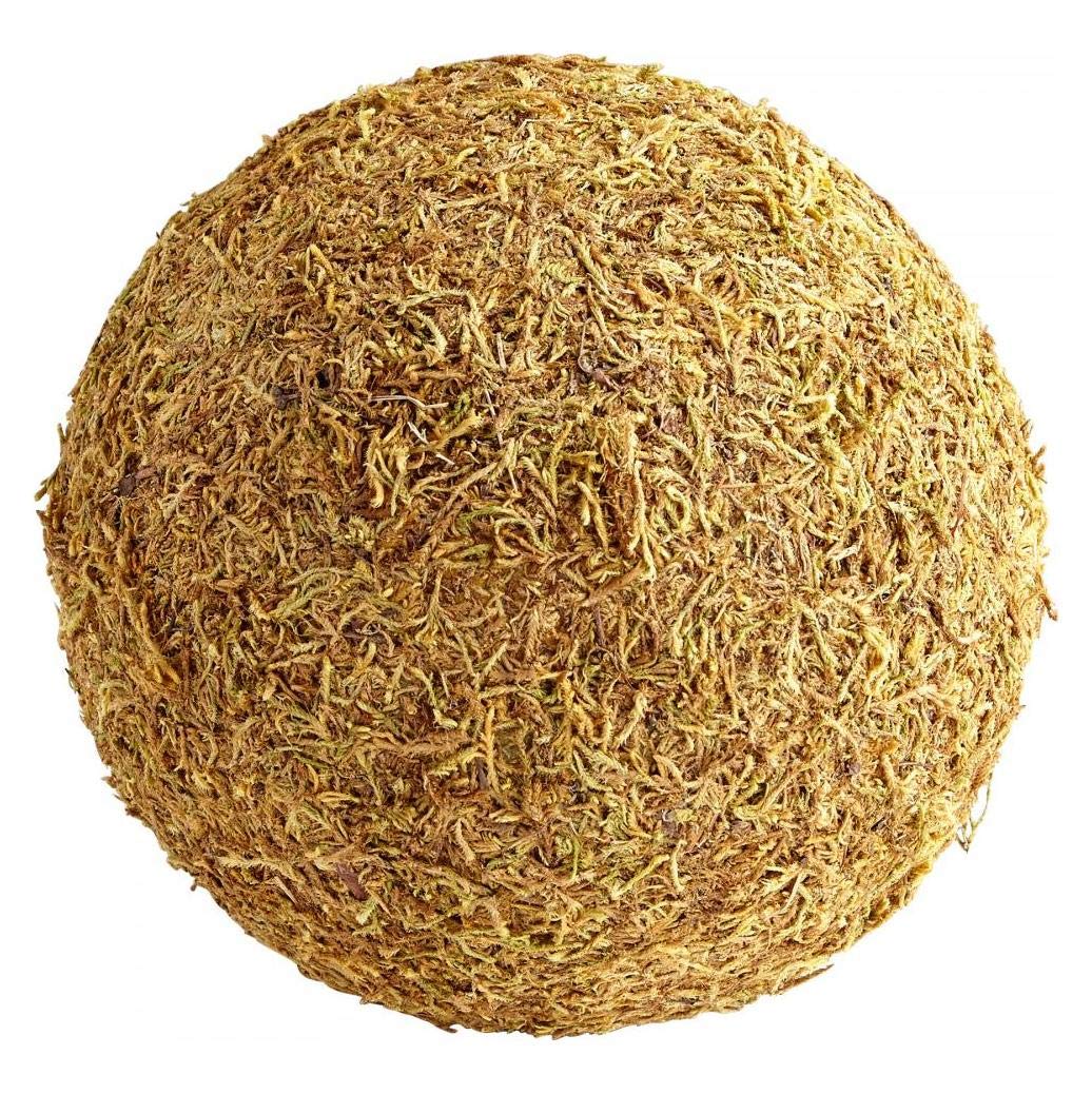 10 Inch Brown Moss Bowl Filler - Natural Decorative Moss for Vases, Centerpieces & Terrariums - Perfect for Home Decor, Wedding Decorations & DIY Crafts