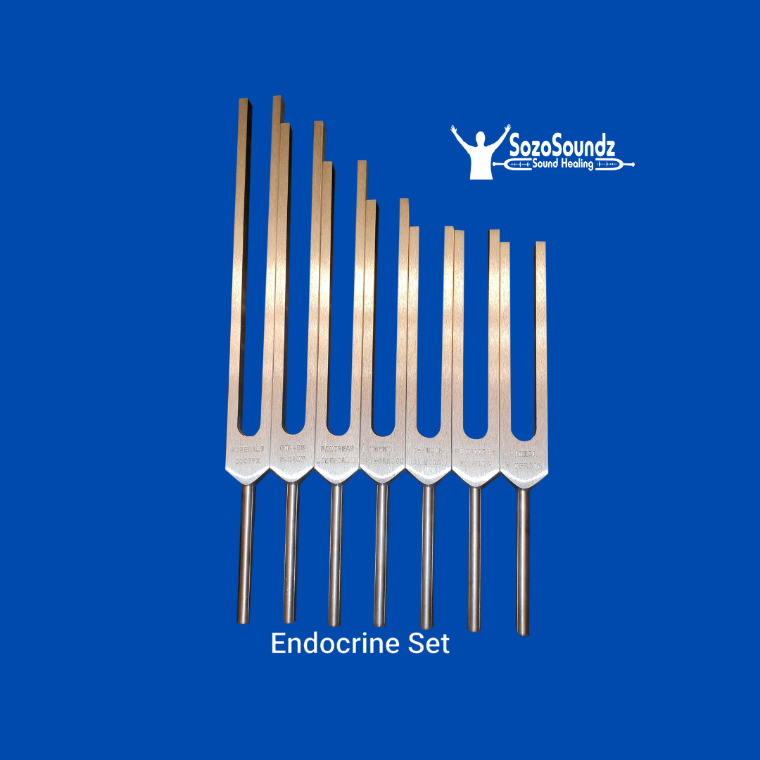 Endocrine & Spine Healing Set of 7 Professional Tuning Forks for Sound Therapy, Chakra Balancing, and Pain Relief - Perfect for Holistic Practitioners, Yoga, and Meditation