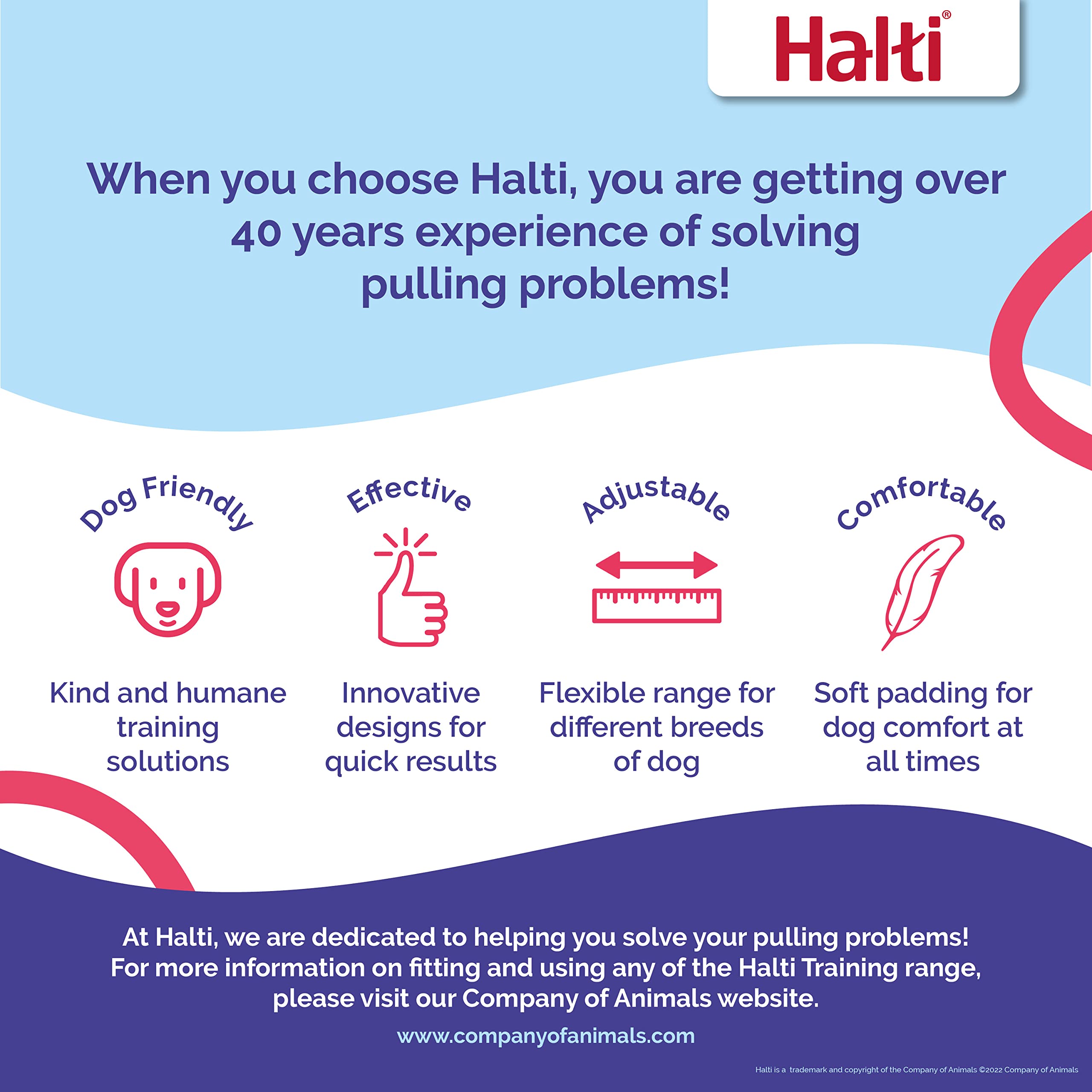 HALTI Headcollar Size 5 & Training Leash Large Combo Pack for Dogs - Adjustable No-Pull Dog Collar with Padded Noseband | Lightweight Pet Training Gear for Large Breeds | Perfect for Walking, Jogging and Obedience Training