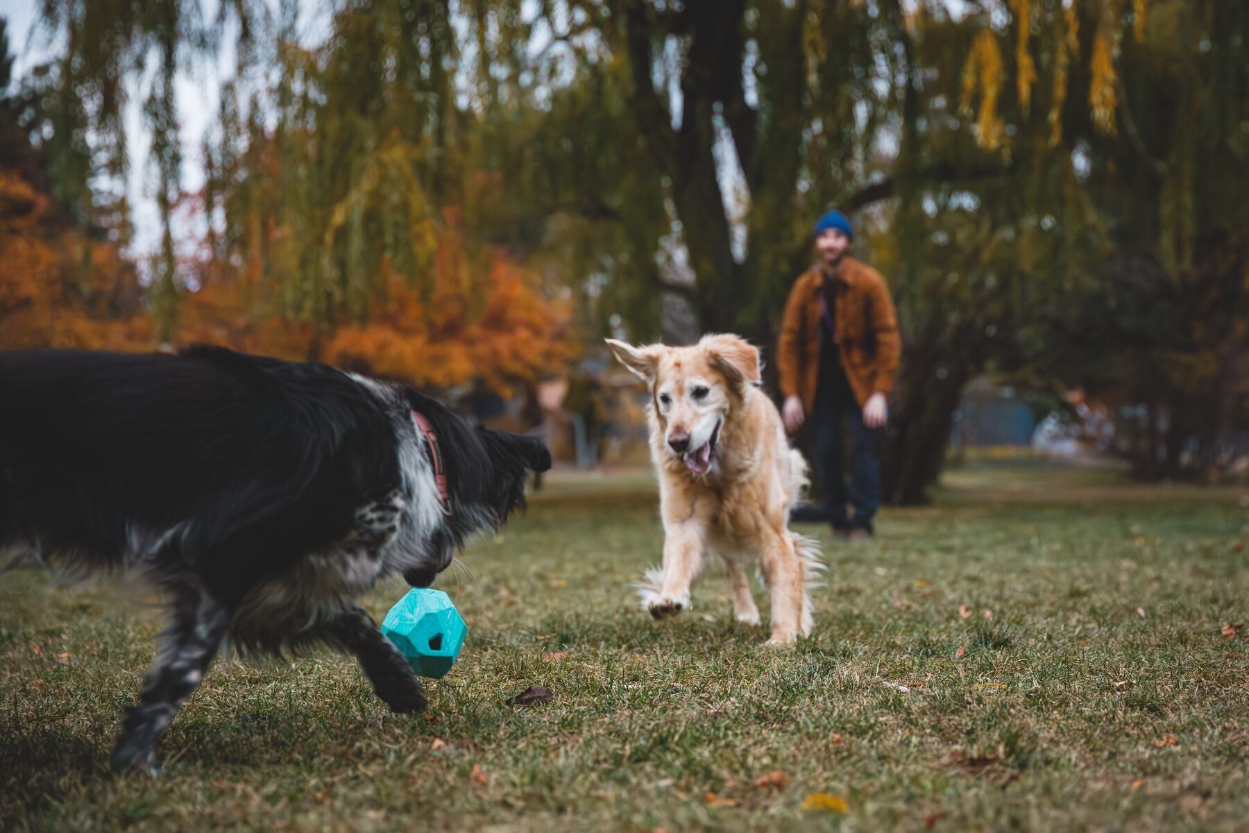 Ruffwear® Gnawt a Rock® Glacial Blue Dog Food and Treat Dispenser - Perfect for Outdoor Adventures, Hiking, and Training Sessions
