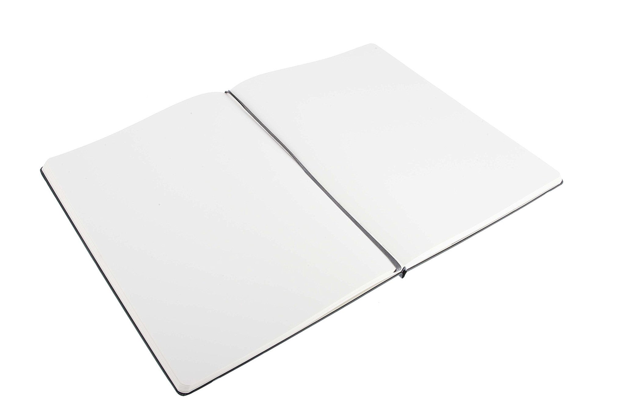Moleskine Professional A4 Plain Notebook - Hard Cover Journal for Business, Sketching & Note Taking - Perfect for Office, School & Travel