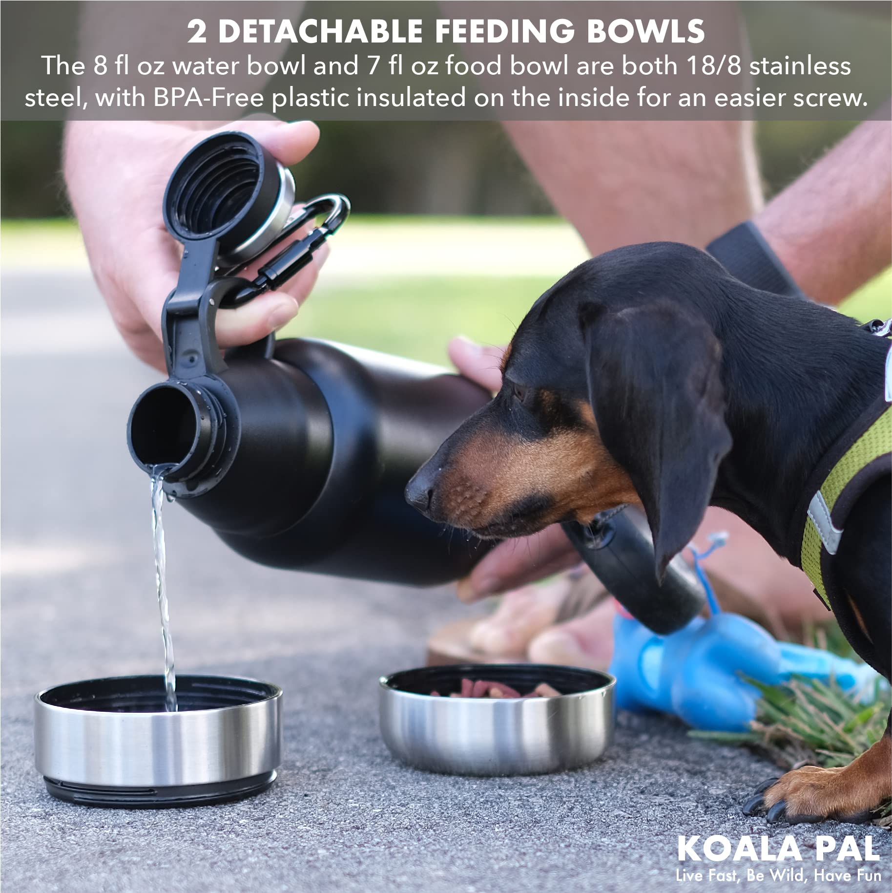 32oz Portable Dog Water Bottle with Detachable Bowl - Leakproof Travel Water Dispenser for Dogs, Perfect for Hiking, Walking & Outdoor Adventures (Midnight Black, 32oz) - Ideal for Camping, Park Visits & Daily Walks