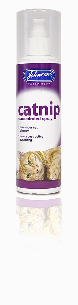 Johnson's Concentrated Catnip Spray for Cats - Natural Cat Attractant & Training Aid - Perfect for Toys, Scratching Posts & Playtime