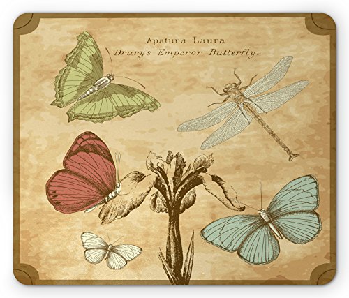 Sand Brown Caramel