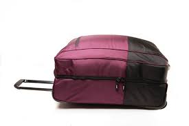 Axis Luxe Cargo Wheeled Bag - Durable Expandable Luggage with Spinner Wheels for Travel, Business Trips & Weekend Getaways