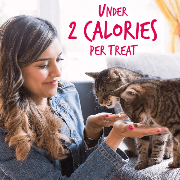 Fruitables Salmon & Cranberry Cat Treats - Grain-Free, Healthy Snacks for Cats - Perfect for Training, Rewards, and Indoor Cats