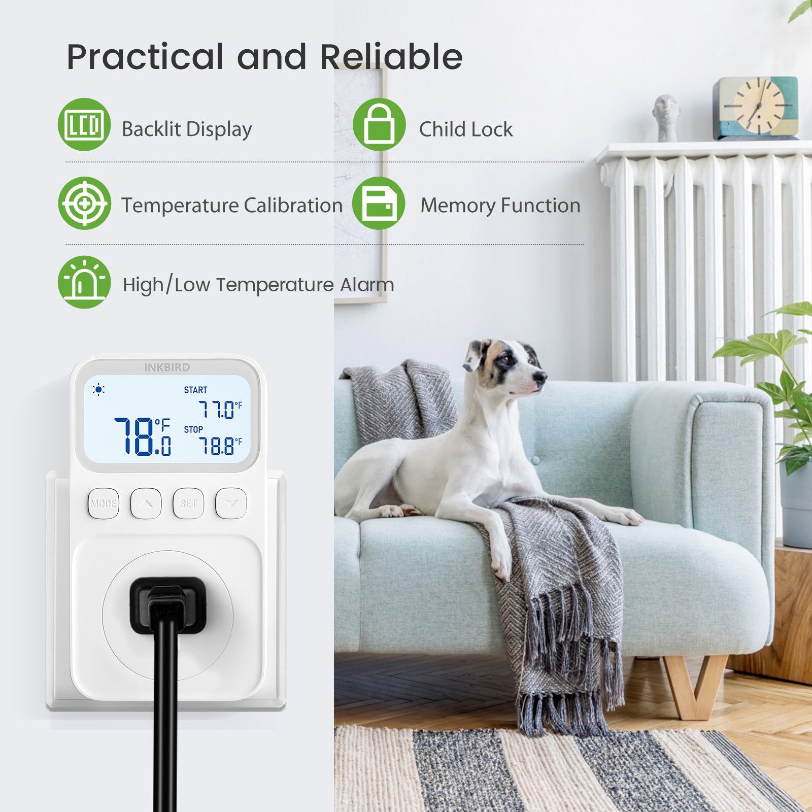 Digital Temperature Controller C226T - Precise Thermostat for Home Brewing, Aquariums & Reptile Tanks