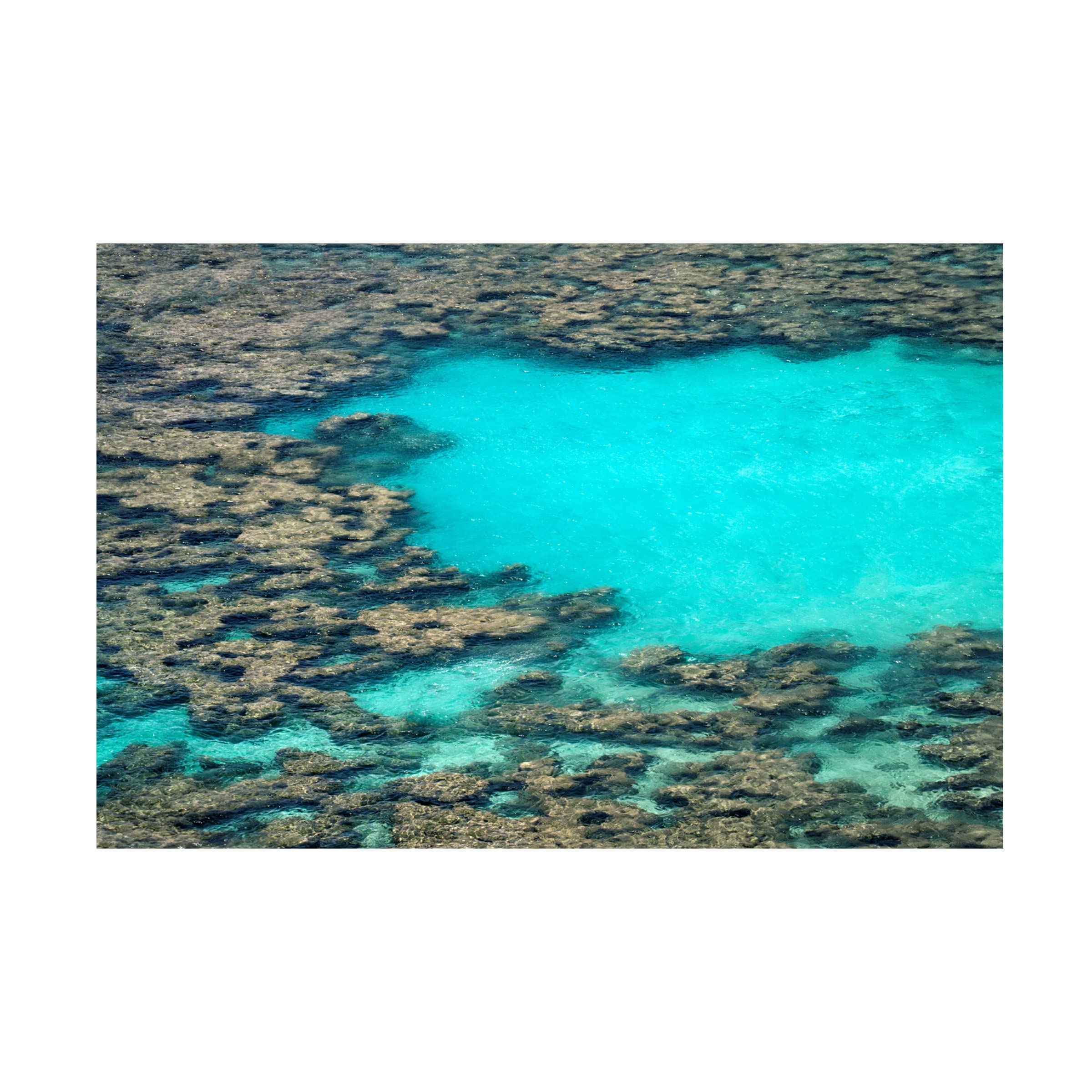 Dennis Frates 'Hanauma Bay' Canvas Wall Art Print - Tropical Beach Landscape Painting for Living Room, Bedroom & Office Decor