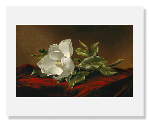 Martin Johnson Heade Magnolia Grandiflora Floral Art Print - Vintage Botanical Wall Decor for Living Room, Bedroom & Office