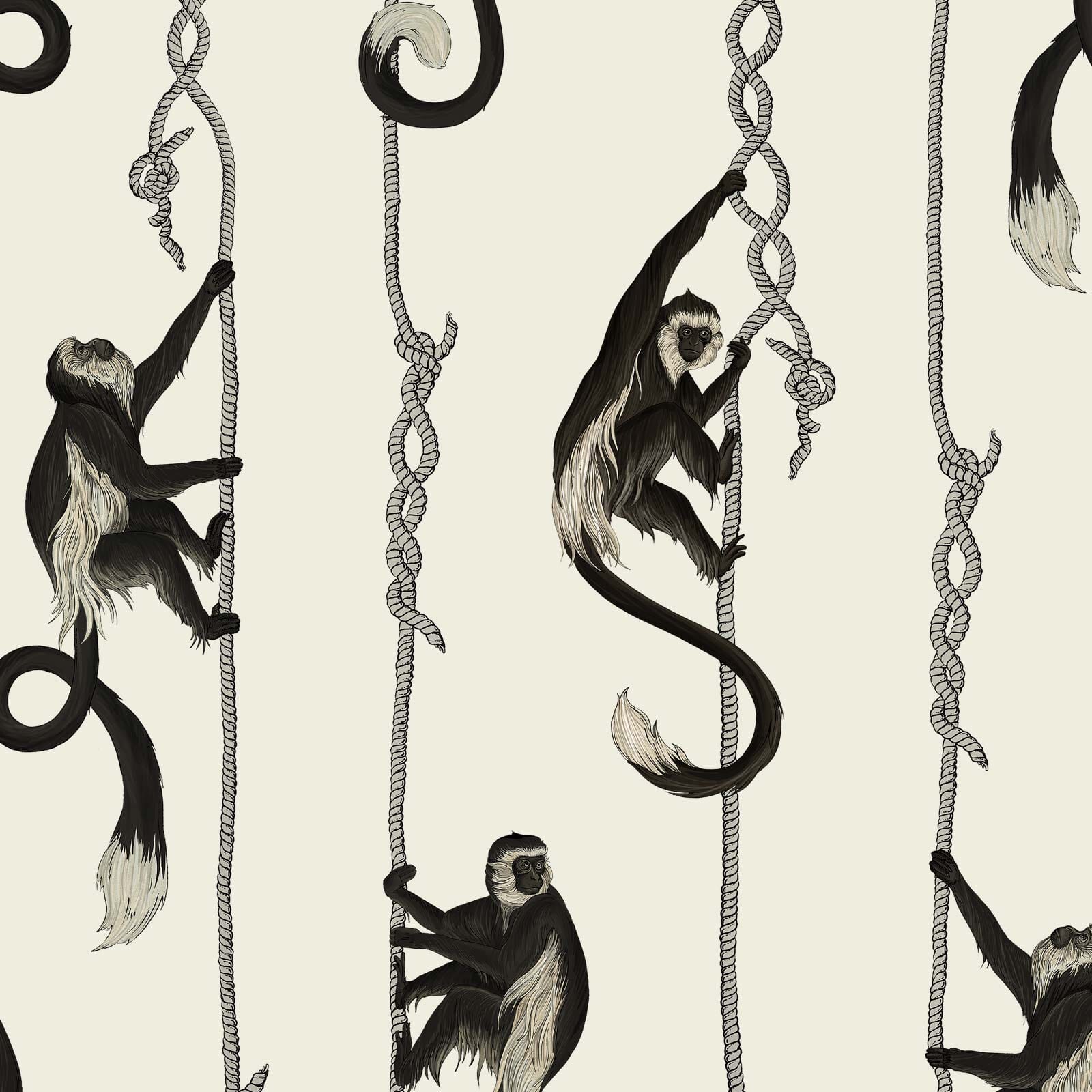 TROOP Peel and Stick Wallpaper - Birch Wood Sample - Perfect for Bedroom, Living Room & Home Office Decor