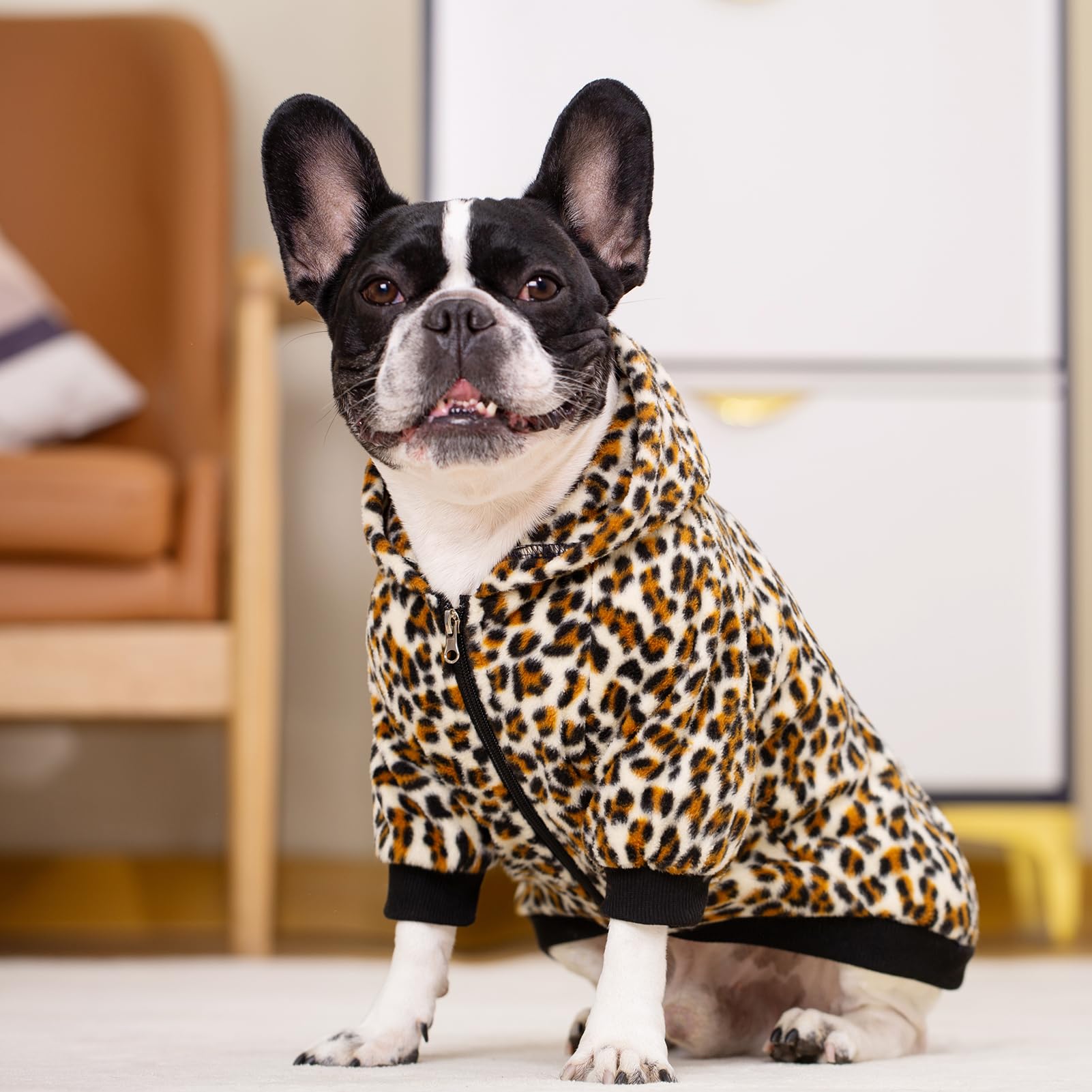 French Bulldog Hoodie Sweatshirt with Pockets - Warm Fleece Dog Clothes for Small Dogs, Puppies & Chihuahuas - Cozy Pet Hoodie for Cats & Dogs - Perfect for Winter Walks & Indoor Lounging