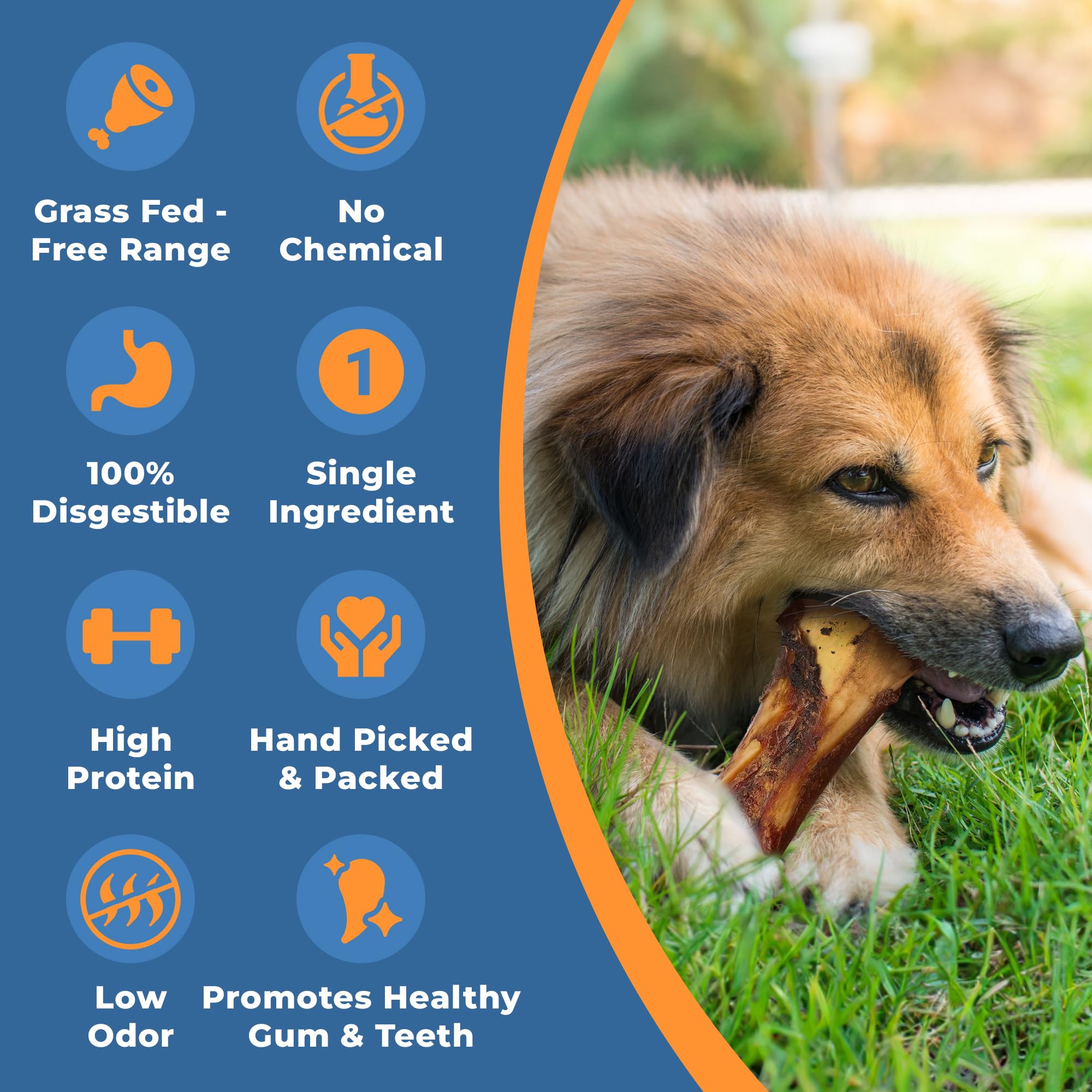 Premium All-Natural Bone Marrow Dog Treats - Long-Lasting High-Protein Chew Bones for Aggressive Chewers - Small, Medium, Large & XL Dogs - Perfect for Training, Dental Health & Anxiety Relief