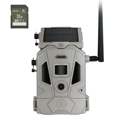 SD Card
