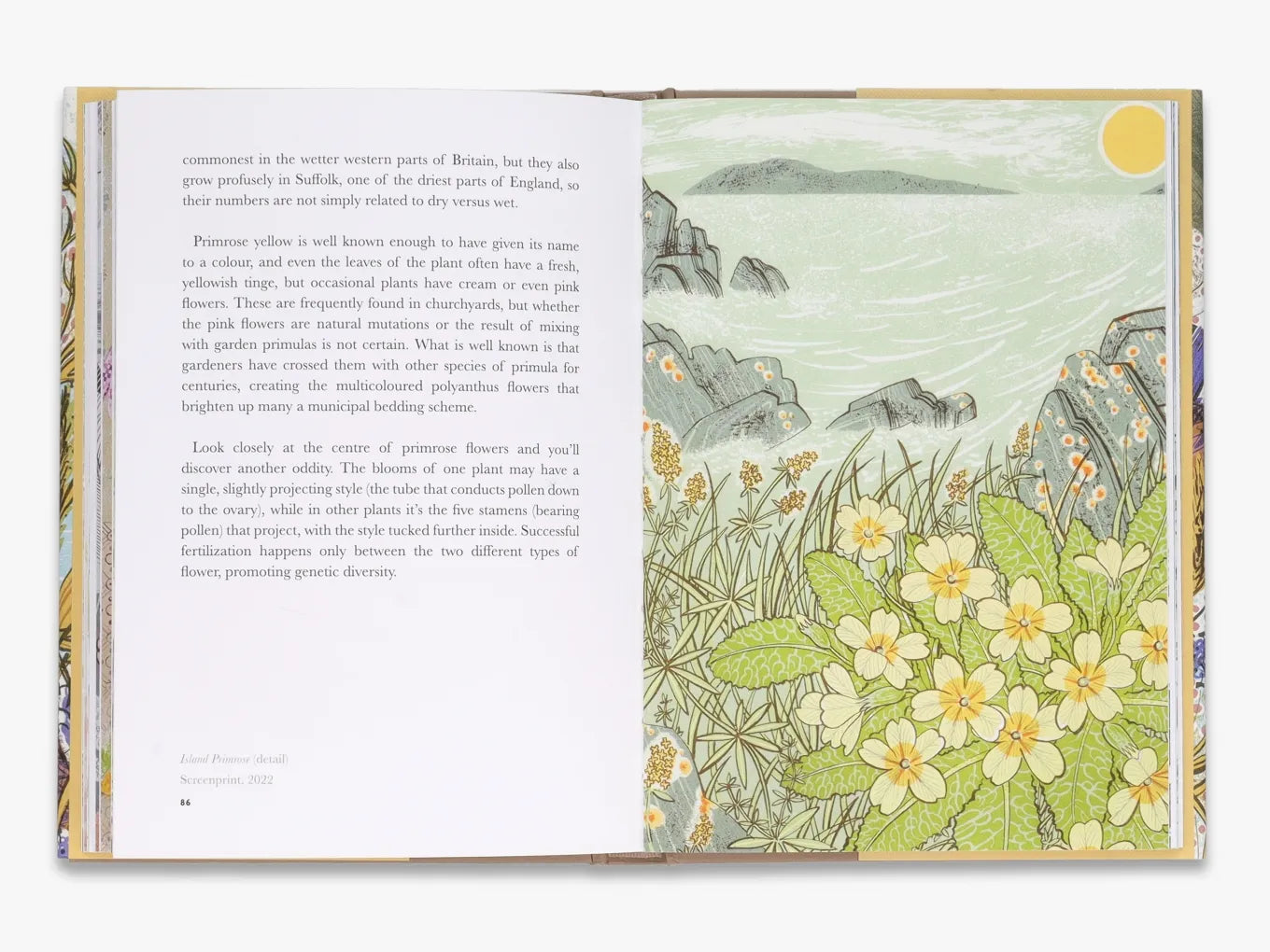 Wild Flowers Book - Illustrated Guide to North American Wildflowers | Perfect for Nature Lovers, Hikers & Gardeners