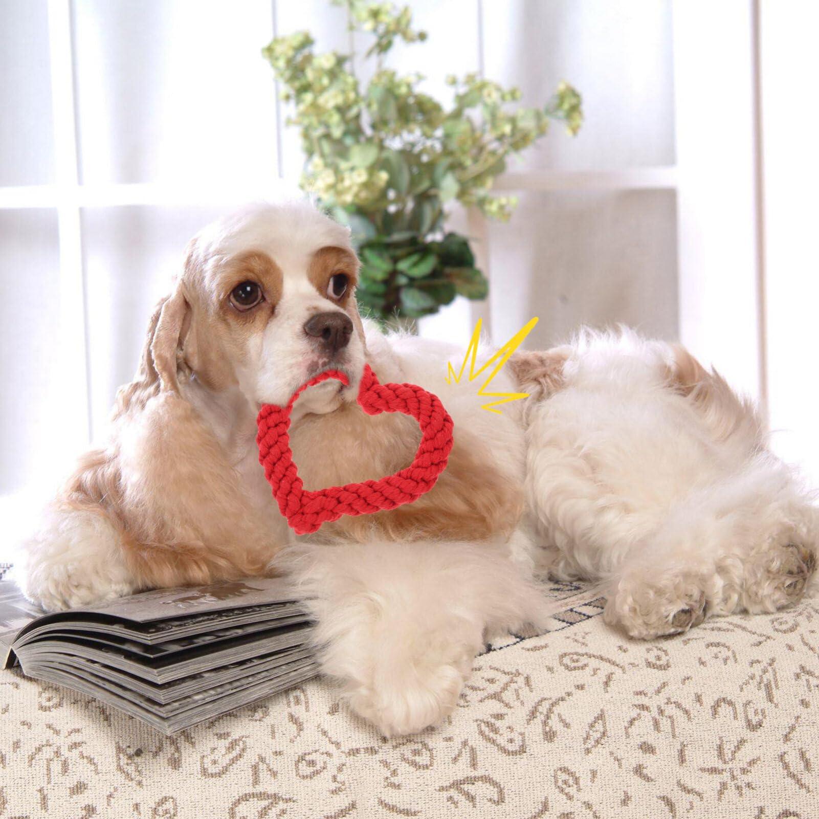 4pcs Dog Chew Toys - Cotton Rope Puppy Teething Toys with Red Heart Shape for Small & Medium Dogs | Valentine's Day, New Year & Pet Party Supplies (Random Colors) | Perfect for Training, Playtime & Dental Health