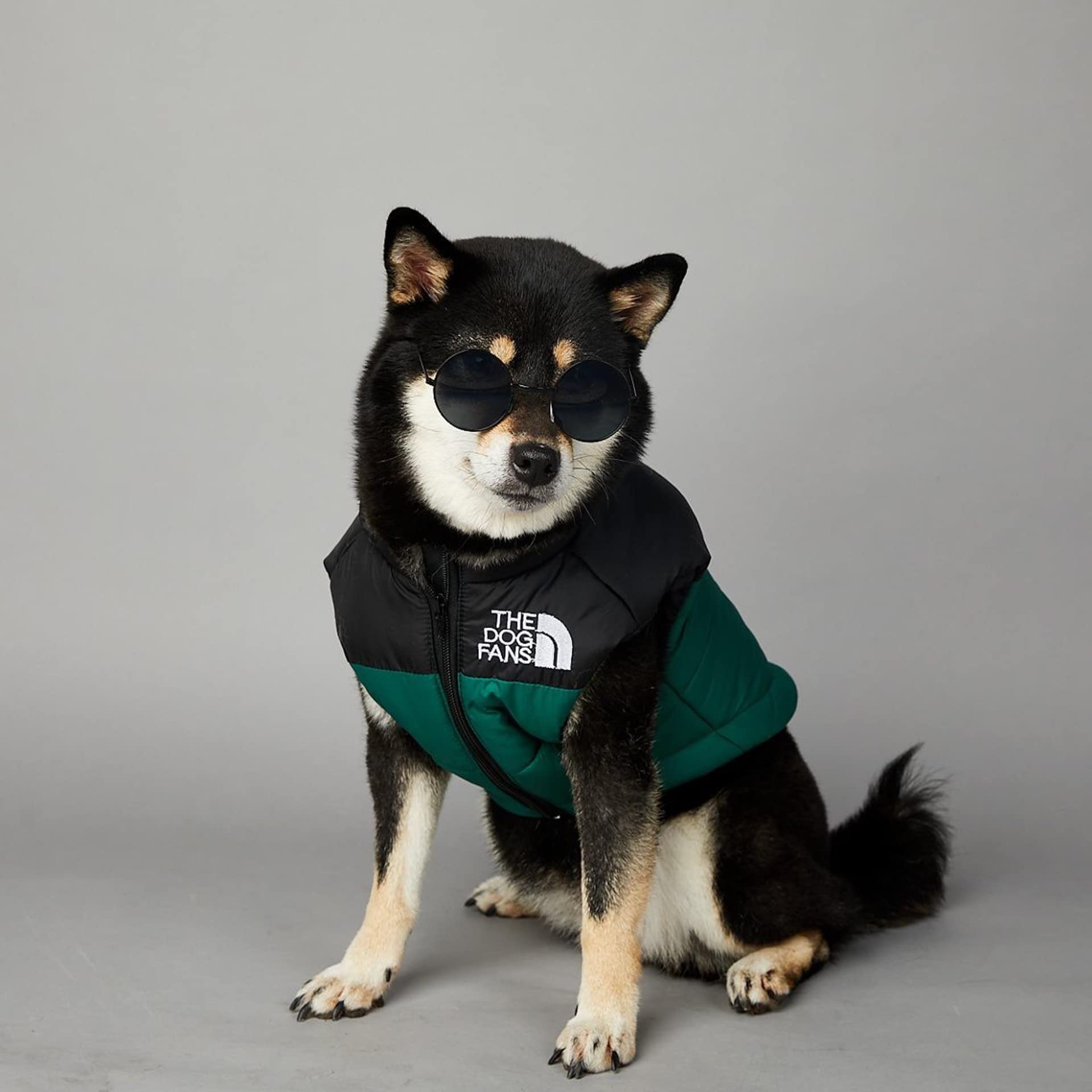 ChoChoCho Dog Puffer Vest - Warm Winter Coat for Small Medium Large Dogs & Cats - Waterproof Cold Weather Jacket for Puppies & Pets - Outdoor Snow Adventures & Daily Walks (Green, Size S)