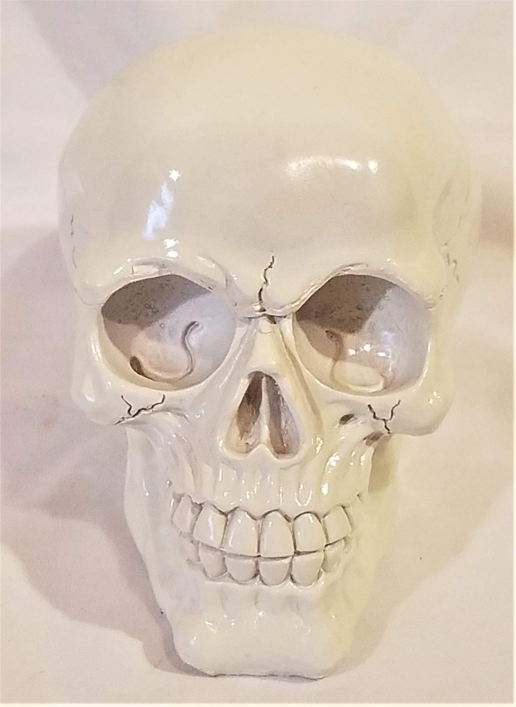 Alltar Tool White Skull - Premium Quality Collectible Skull Decor for Home & Office - Perfect for Halloween, Gothic Decor, and Horror Theme Parties