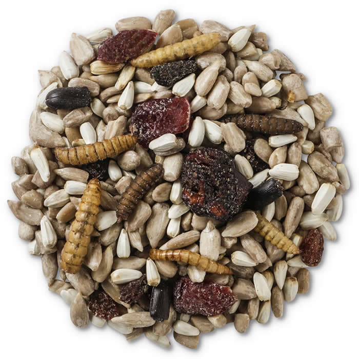 Wild Delight Bugs N' Berries Wild Bird Seed - Premium 4.5 lb Bag for Attracting Colorful Birds - Perfect for Backyard Feeders, Gardens & Bird Watching Enthusiasts