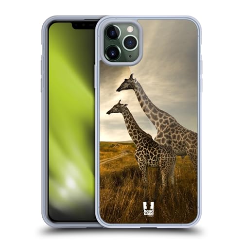 Giraffe Couple And Landscape