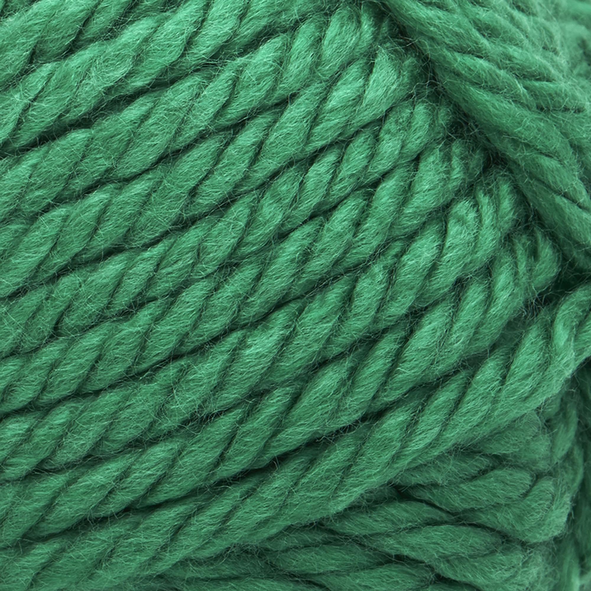 Lion Brand Yarn Hometown Super-Bulky Yarn for Knitting & Crocheting - 1 Pack (Green Bay) | Perfect for Blankets, Scarves & DIY Craft Projects