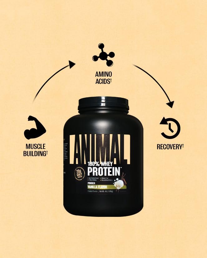 100% Whey Protein Powder for Men & Women - Premium Whey Blend with BCAA for Pre & Post Workout Recovery, Muscle Growth - Low Sugar Meal Replacement Shake - Vanilla Flavor, 4lb (Great for Gym, Weight Loss & Healthy Lifestyle)