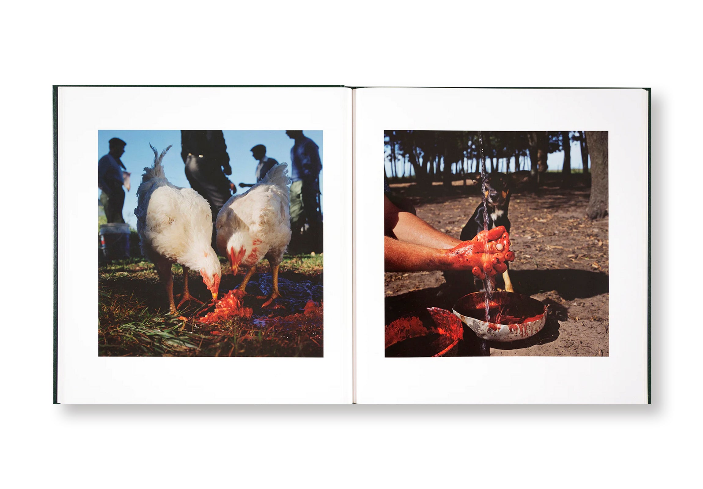 ON THE SIXTH DAY by Alessandra Sanguinetti - Signed Photography Book - Perfect for Art Collectors & Photography Enthusiasts