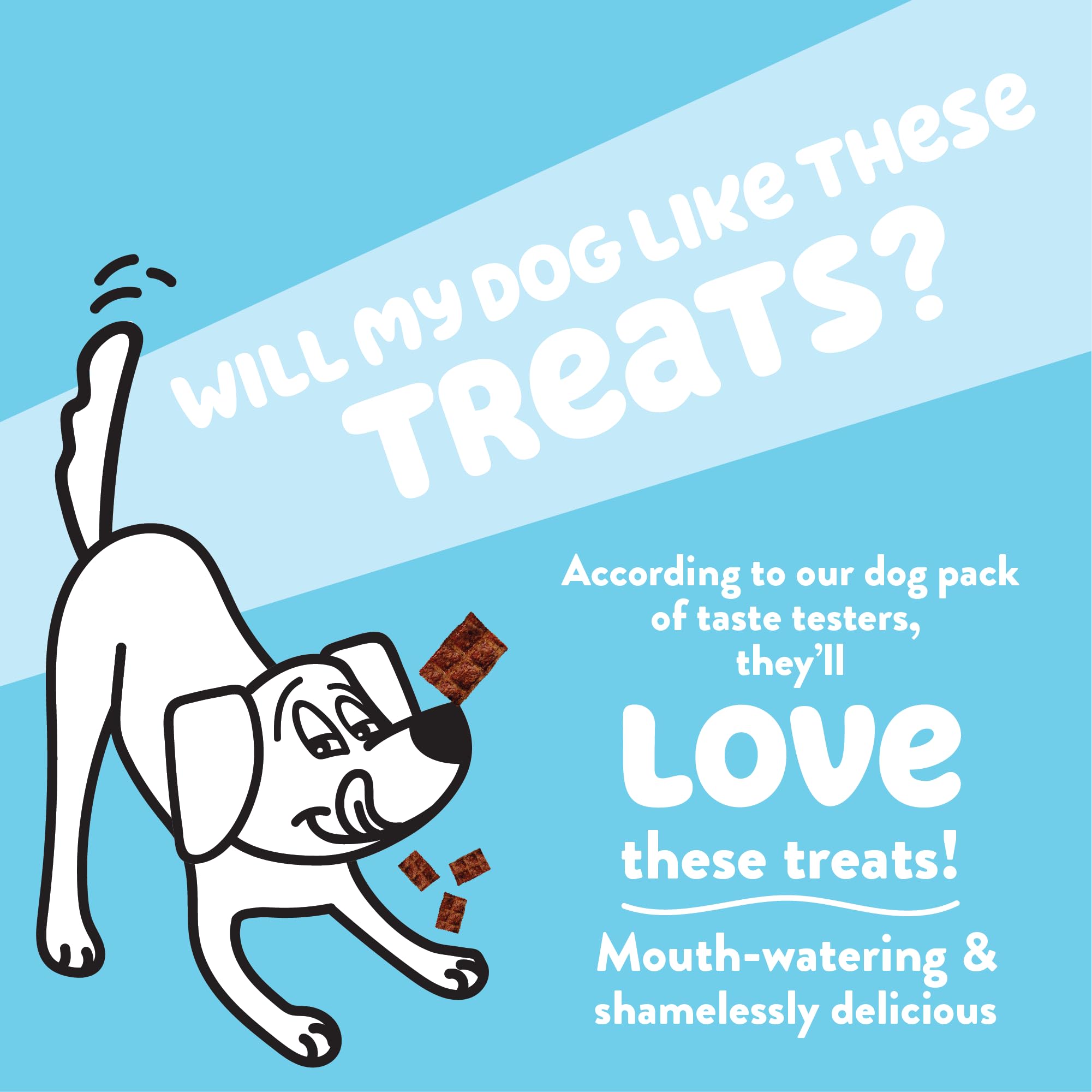 Shameless Pets Duck-Tato Jerky Dog Treats - Grain-Free, Healthy Dog Chews with Real Cage-Free Duck for Digestion Support & Fiber - No Corn, Soy - 1-Pack - Perfect for Training, Rewards & Digestive Health