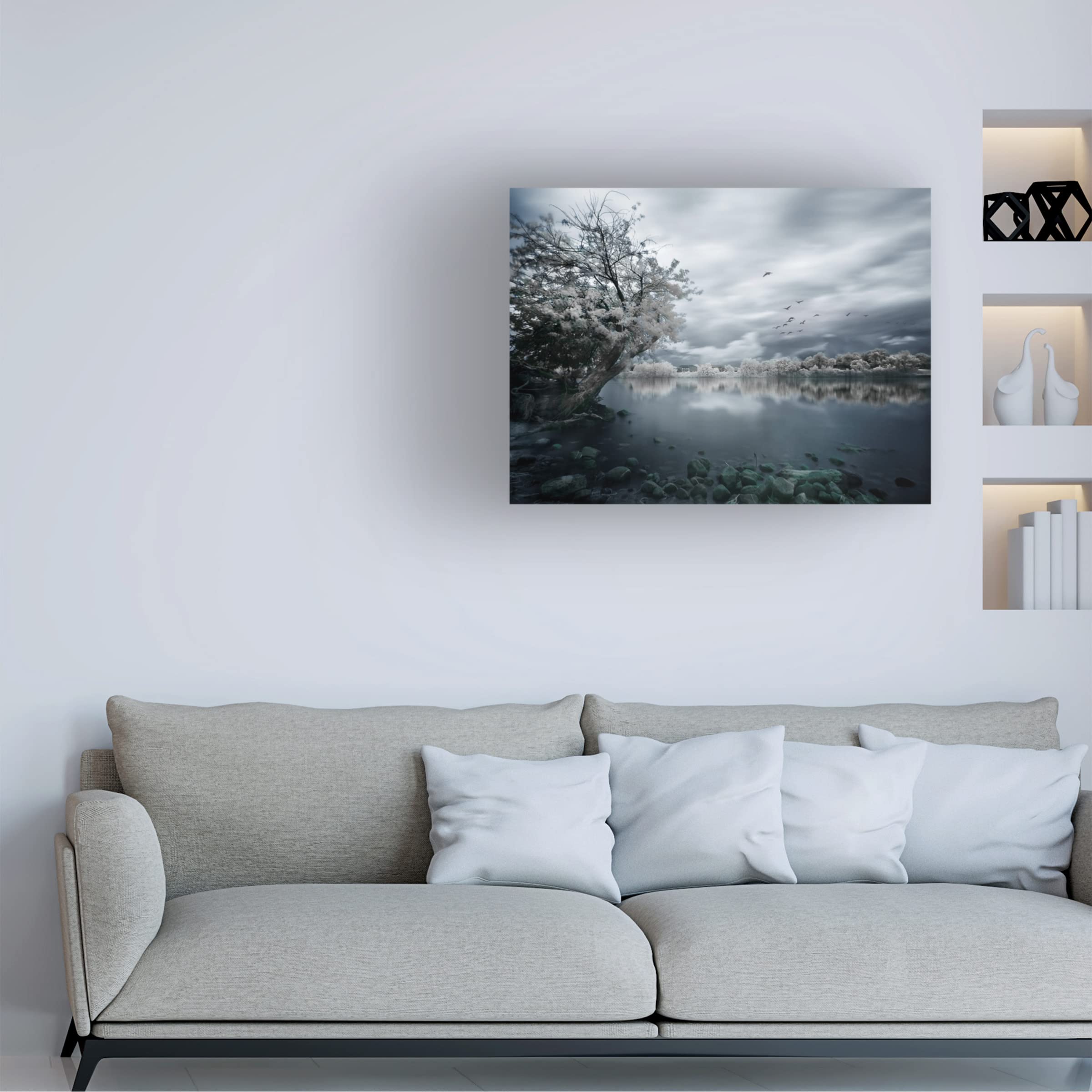 Trademark Fine Art 'Migration Coastline' Canvas Wall Art Print by David Senechal Photography - Coastal Decor for Living Room, Bedroom & Office