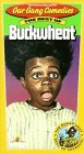Our Gang Comedies: The Best of Buckwheat - Classic Comedy DVD Collection for Movie Lovers & Nostalgia Fans - Perfect for Family Movie Nights and Vintage Film Enthusiasts